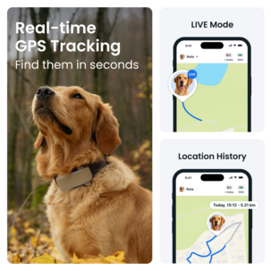 Tractive Dog 6XL GPS-tracker for stor hund