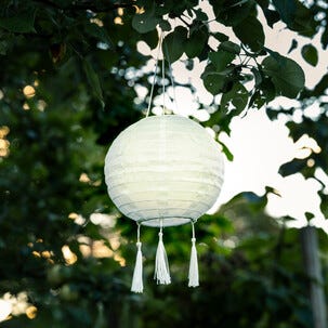 Northlight solcellelykt rislampe, hvit