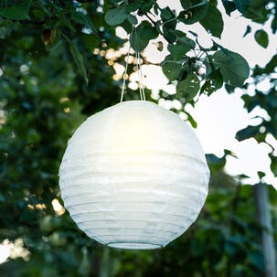 Northlight solcellelykt rislampe, hvit