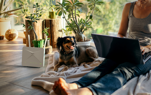 D-link G415 AX1500 4G-router med WiFi 6