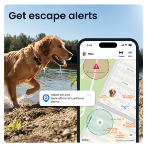 Tractive Dog 6XL GPS-tracker for stor hund