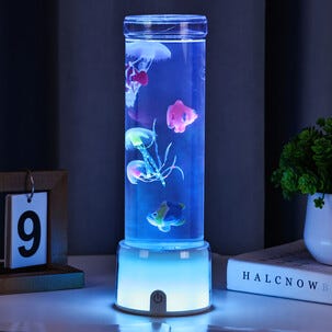 Northlight fisklampa med touch, 27,7 cm