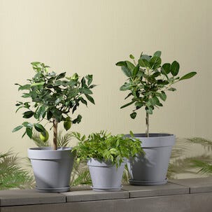 Kukkaruukku komposiittimateriaalia, harmaa, sisä- tai ulkokäyttöön