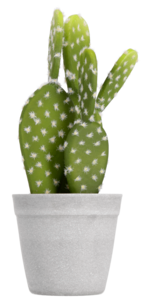 Kunstig kaktus, 25 cm