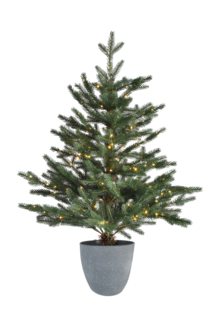 Lite juletre, Lyckeby 90 cm, med micro-LED-lys