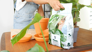 Nelson Garden Premium blomjord 4 liter