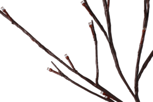 LED-pyntekvister til potte eller blomsterbed