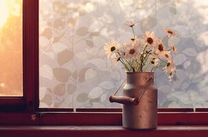 D-C-Fix Static vindusfilm med innsynsskjerming