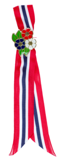 Sløyfe med pins