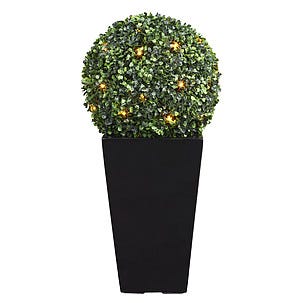 Buxbomboll med LED-belysning