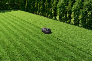 MOVA ViAX AI robotgräsklippare utan slinga, 300 m2