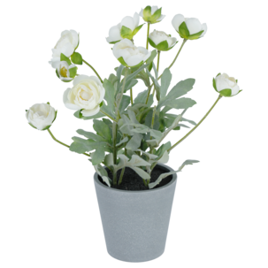 Kunstplante ranunkel, 34 cm