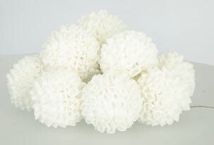 Ljusslinga chiffong Northlight