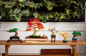 LEGO Botanical Collection Bonsaiträd, japansk lönn 10348, 18 år
