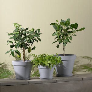 Kruka komposit utomhus och inomhus, grå