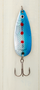 Betessats 10-pack Gavia