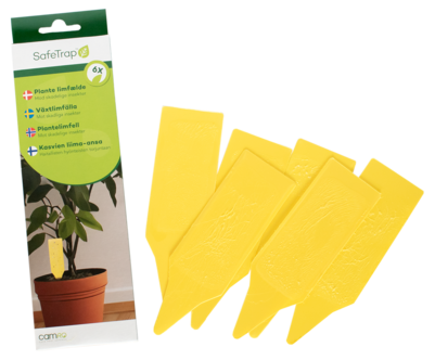 SafeTrap växtlimfälla mot insekter, 6-pack
