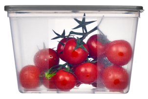 Eväsrasia muovia, kansi, pakastimeen ja mikroaaltouuniin