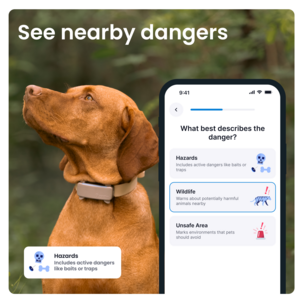 Tractive Dog 6 GPS-tracker for hund