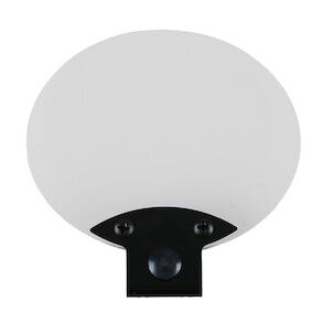 Beskyttelsesglass Cocraft HW 250