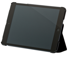 Acme Made futteral for iPad mini