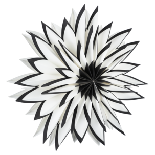 Adventsstjärna vit och svart papper, 60 cm