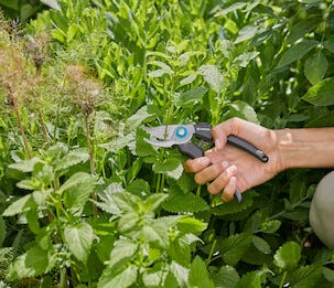 Gardena EcoLine sekatör, sidoskär