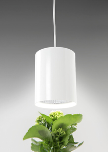Kasvivalo LED, neutraali valkoinen valo, Fiora Airam