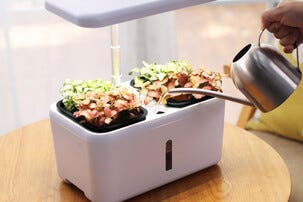 Kasvivalo LED Itsekasteleva ruukku ja ajastin