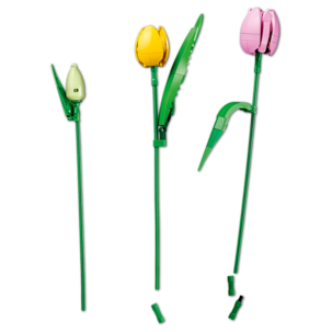 LEGO Botanicals Bukett med tulpaner 11501, från 18 år
