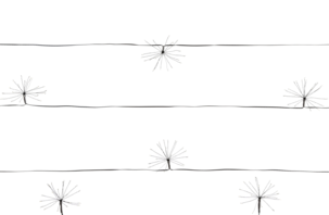 Ljusslinga Fyrverkeri 7,2 m, Northlight