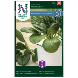 Nelson Garden Vihannessinappi Malachai F1 Komatsuna