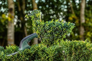 Bosch EasyShear 3,6 V, multitrimmer