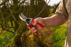 Felco 2 hagesaks med sideskjær