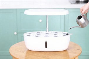 Hydroponisk odling kit 12 odlingspluggar och växtlampa LED