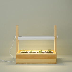 Drivbänk inomhus LED och timer, vit/trä