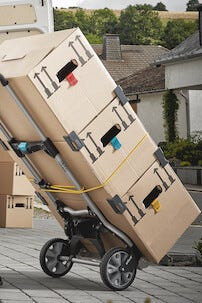 Hörn Wolfcraft, 8-pack