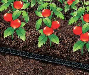 Dråpevanning 15 meter dryppslange, 0,5 tommer