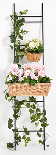 Blomstege i svart metall