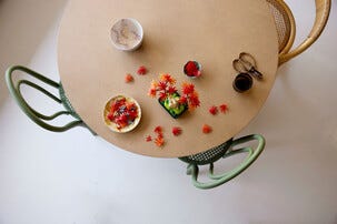 LEGO Botanical Collection Bonsaipuu, japanilainen vaahtera 10348, 18+