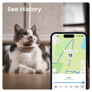 Tractive Cat 6 Mini GPS tracker för katt