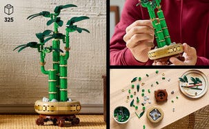 LEGO Icons Botanicals Dracaena lykkebambus 10344, fra 18 år