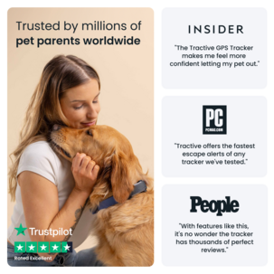 Tractive Dog 6 GPS-tracker for hund