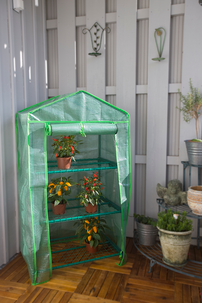 Växthus mini