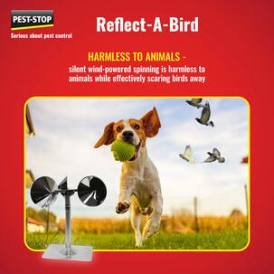 Pest-Stop Reflect-A-Bird fugleskremmer, reflekterende