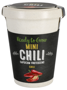 Frø i potte, chili