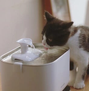 Petlibro Dockstream vattenfilter för fontän, 8-pack