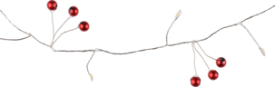 LED-lyslenke med røde bær Northlight 2 m batteridrevet