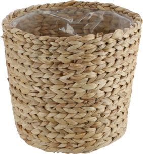 Blomsterpotte i vannhyasint