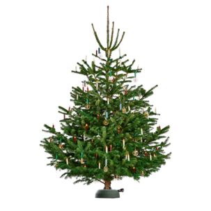 Krinner julgransfot X-320 Deluxe 4,5 liter